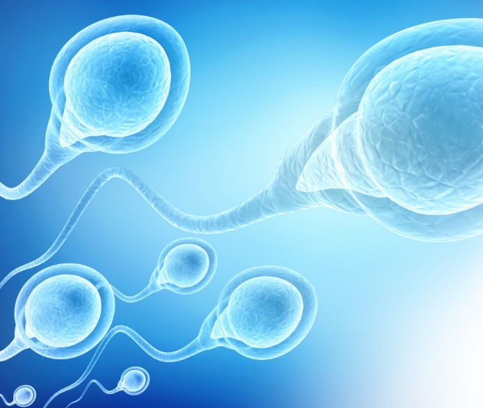 Capacitação em Andrologia Clínica