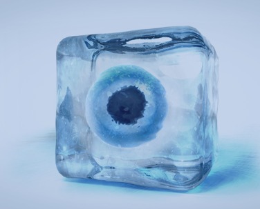 Capacitação em Criopreservação de oócitos e embriões