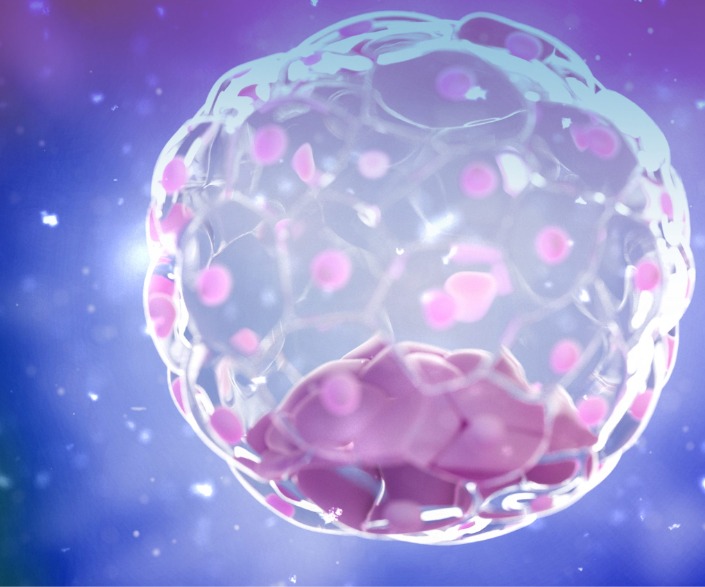 Capacitação em Embriologia Clínica