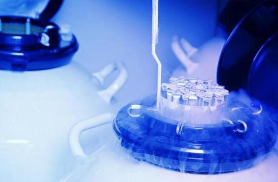 Curso Criopreservação de gametas e embriões