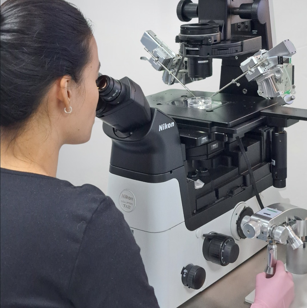 WhatsApp Image 2024-12-19 at 15.06.42